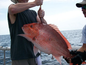 Panama City Fishing Charters